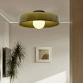 Ceiling Light Transparent Glass LED-Compatible Diffused Light