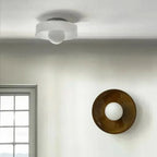 Ceiling Light Transparent Glass LED-Compatible Diffused Light