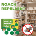 Cockroach Bait Stations Enclosed Odorless Boric Acid