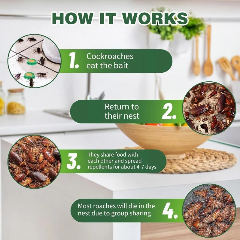 Cockroach Bait Stations Enclosed Odorless Boric Acid