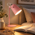 Desk Lamp Adjustable Swivel Arm Warm LED