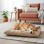 Dog Bed Orthopedic Foam Waterproof Lining Machine-Washable Cover