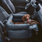 Dog Car Seat Elevated Padded With Integrated Safety Belt