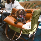Dog Car Seat Elevated Padded With Integrated Safety Belt