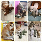 Dog Chew Toy Indestructible Textured Denim Dental Care