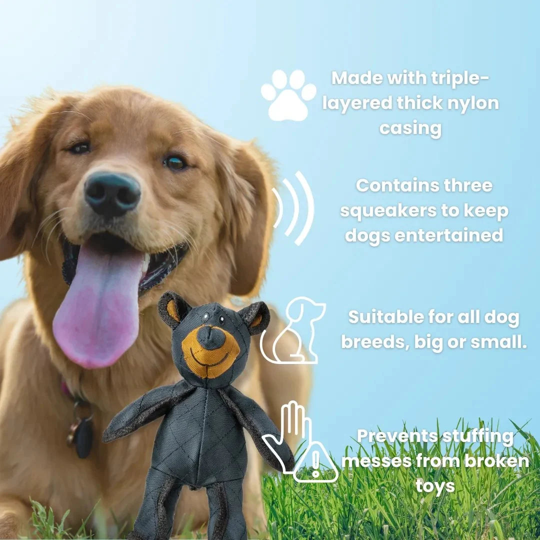 Dog Chew Toy Reinforced Multi-Layer Textured Surface