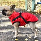 Dog Coat Integrated Harness Water-Resistant Reflective Details