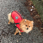 Dog Coat Integrated Harness Water-Resistant Reflective Details