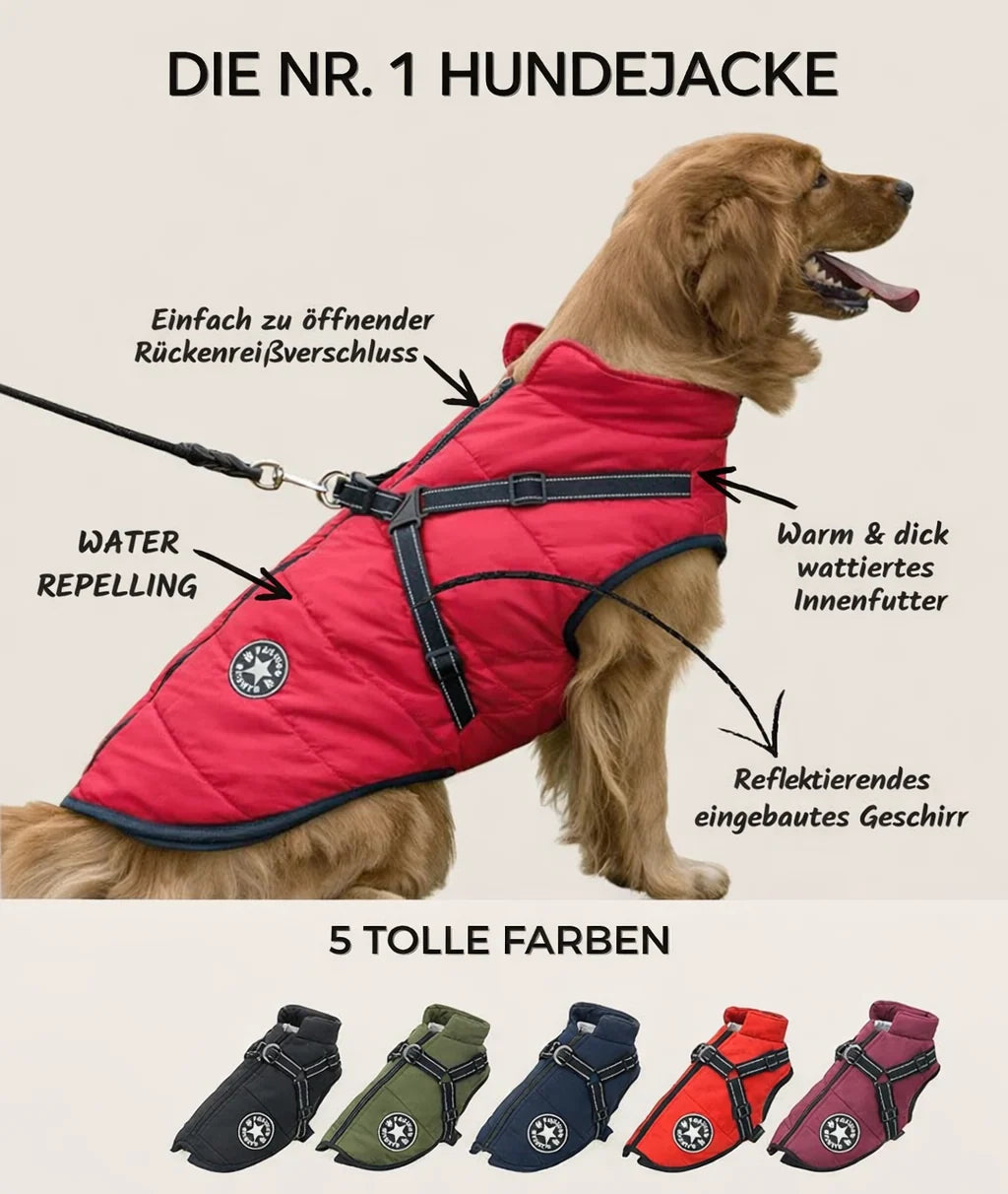 Dog Coat Integrated Harness Water-Resistant Reflective Details