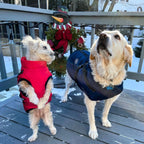 Dog Coat Integrated Harness Water-Resistant Reflective Details