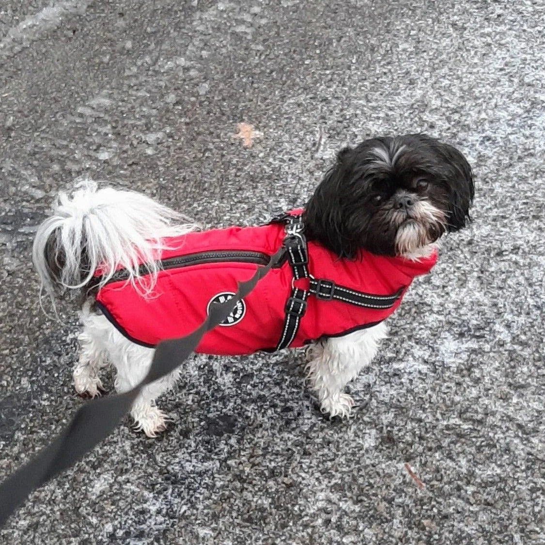 Dog Coat Integrated Harness Water-Resistant Reflective Details