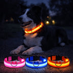Dog Collar LED Light USB-Rechargeable 3 Light Modes