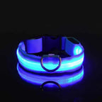 Dog Collar LED Light USB-Rechargeable 3 Light Modes