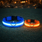 Dog Collar LED Light USB-Rechargeable 3 Light Modes