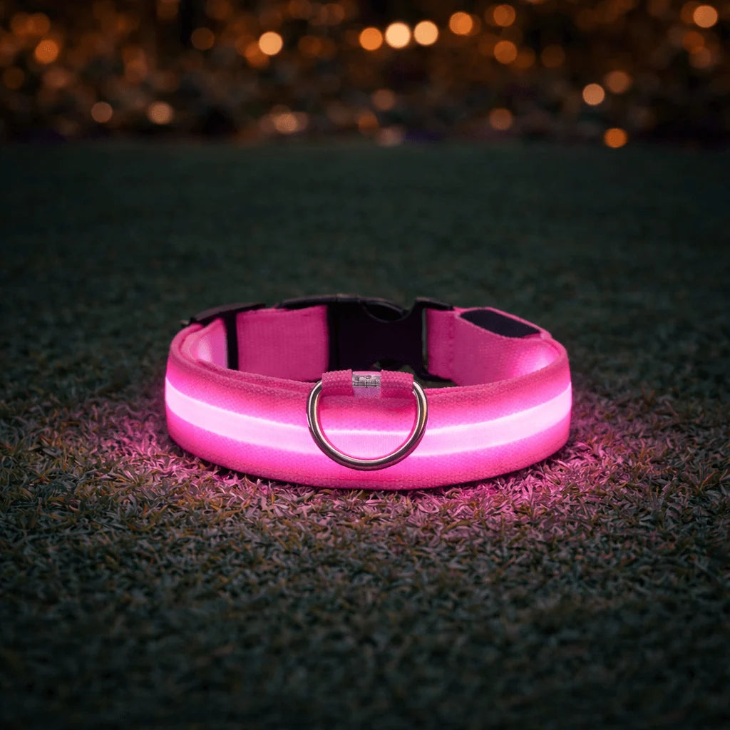 Dog Collar LED Light USB-Rechargeable 3 Light Modes