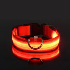 Dog Collar LED Light USB-Rechargeable 3 Light Modes