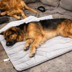 Dog Cooling Mat Self-Cooling Gel Machine Washable & Foldable