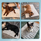 Dog Cooling Mat Self-Cooling Gel Machine Washable & Foldable