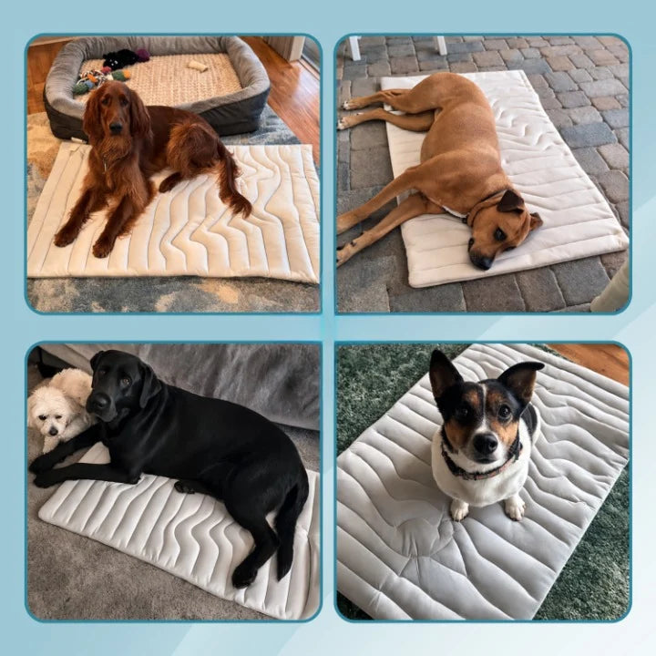 Dog Cooling Mat Self-Cooling Gel Machine Washable & Foldable