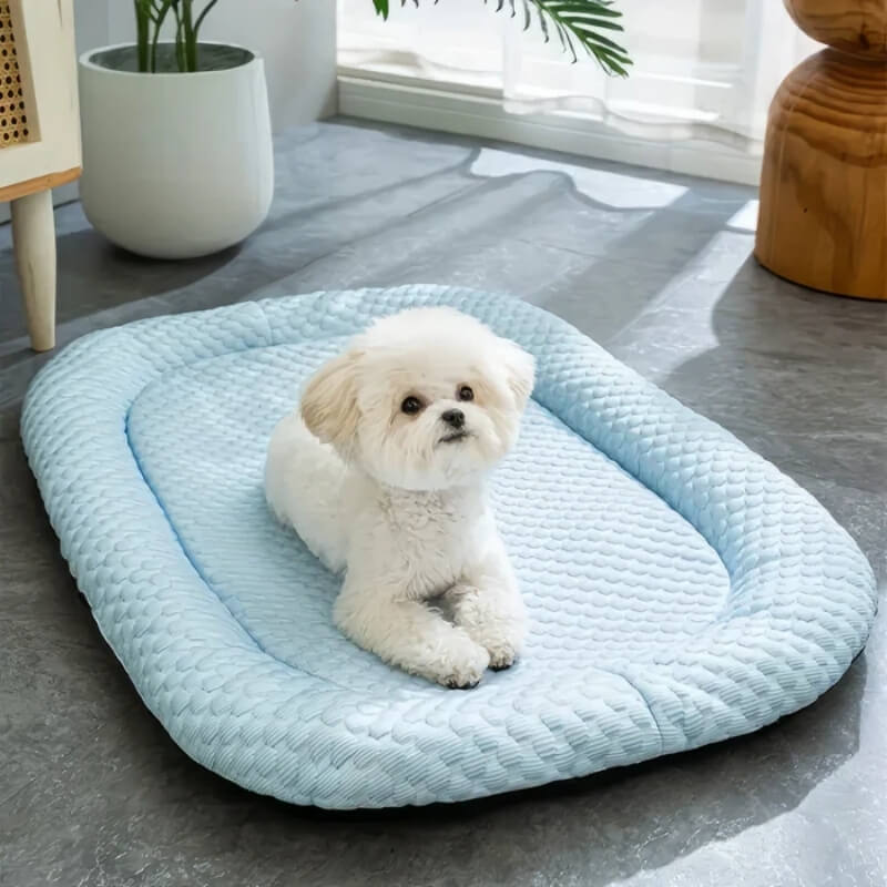 Dog Cooling Mat Temperature-Regulating Machine-Washable Cover & Non-Slip Base