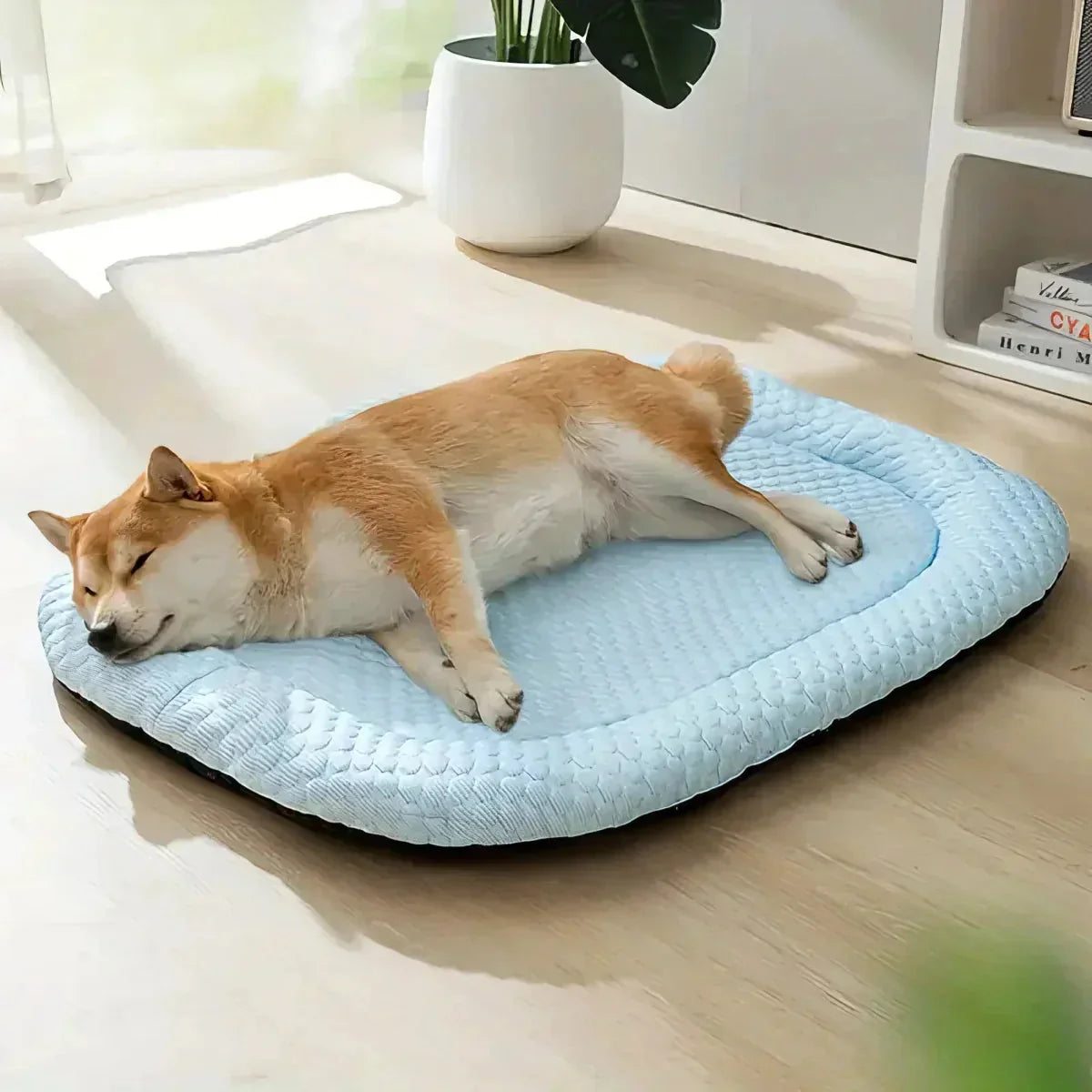 Dog Cooling Mat Temperature-Regulating Machine-Washable Cover & Non-Slip Base