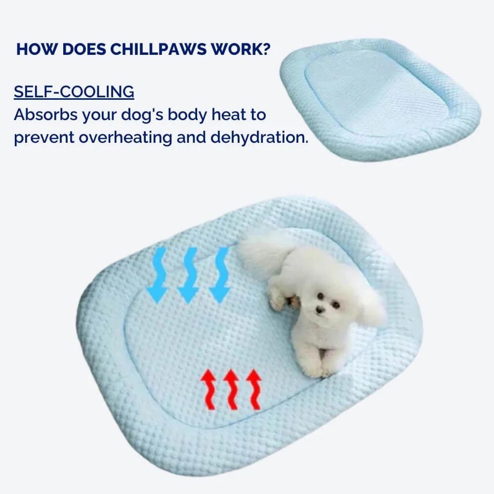 Dog Cooling Mat Temperature-Regulating Machine-Washable Cover & Non-Slip Base
