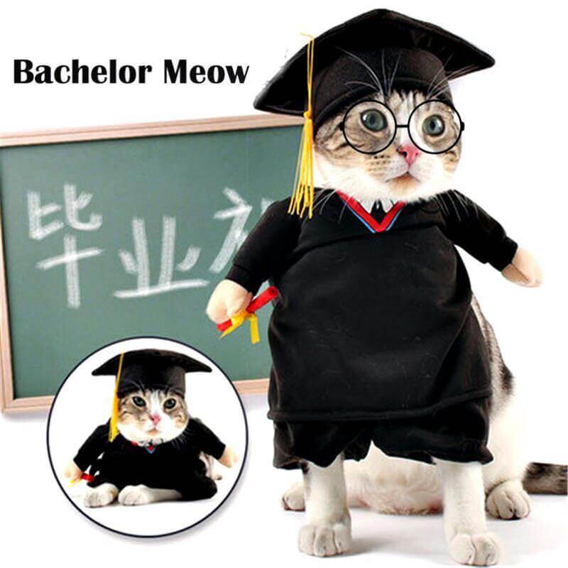 Dog Costume Professor PhD Design Soft Breathable