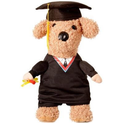 Dog Costume Professor PhD Design Soft Breathable
