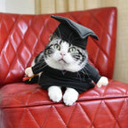 Dog Costume Professor PhD Design Soft Breathable