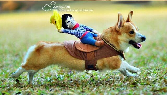 Dog Costume Riding Horse Design Brown Sizes S–XL