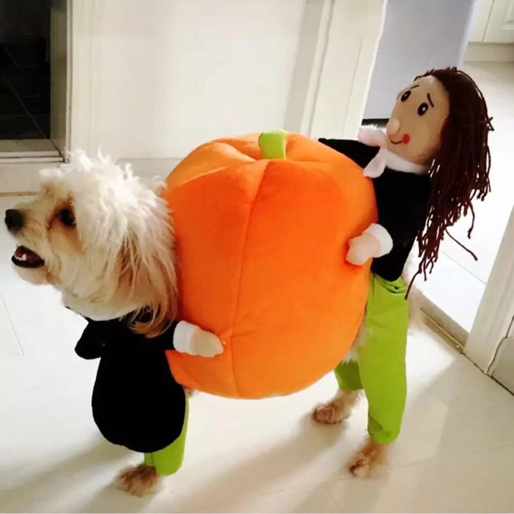 Dog Costume Velvet Pumpkin Design Secure Fit