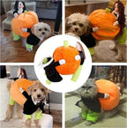 Dog Costume Velvet Pumpkin Design Secure Fit