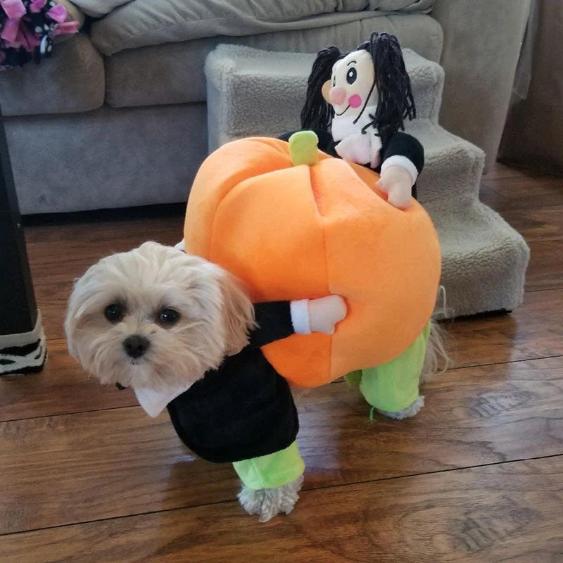 Dog Costume Velvet Pumpkin Design Secure Fit