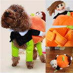 Dog Costume Velvet Pumpkin Design Secure Fit