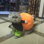 Dog Costume Velvet Pumpkin Design Secure Fit