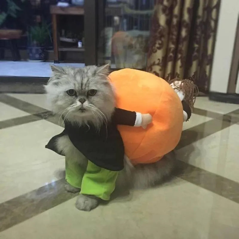 Dog Costume Velvet Pumpkin Design Secure Fit