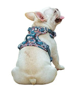 Dog Harness Breathable Pressure-Relief Adjustable Straps & Buckles