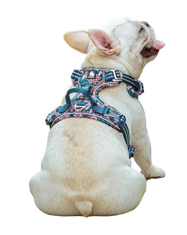 Dog Harness Breathable Pressure-Relief Adjustable Straps & Buckles