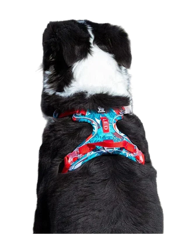 Dog Harness Breathable Pressure-Relief Adjustable Straps & Buckles