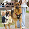Dog Harness & Leash Set Anti-Pull Front-Clip Integrated LED