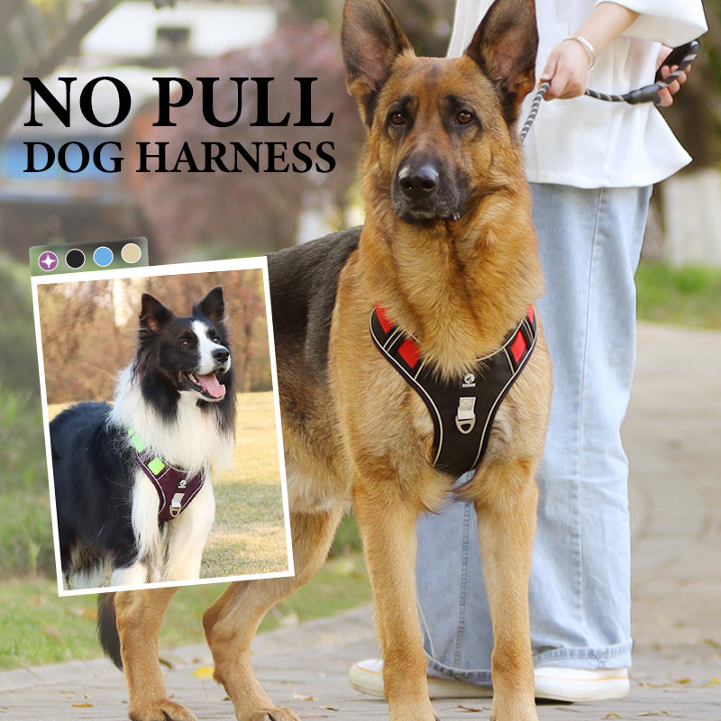 Dog Harness & Leash Set Anti-Pull Front-Clip Integrated LED