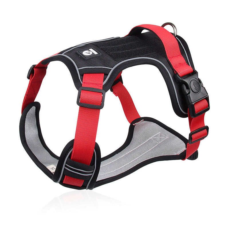 Dog Harness & Leash Set Anti-Pull Front-Clip Integrated LED