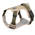 Dog Harness & Leash Set Anti-Pull Front-Clip Integrated LED