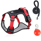 Dog Harness & Leash Set Anti-Pull Front-Clip Integrated LED