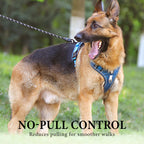 Dog Harness & Leash Set Anti-Pull Front-Clip Integrated LED
