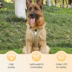 Dog Harness & Leash Set Anti-Pull Front-Clip Integrated LED