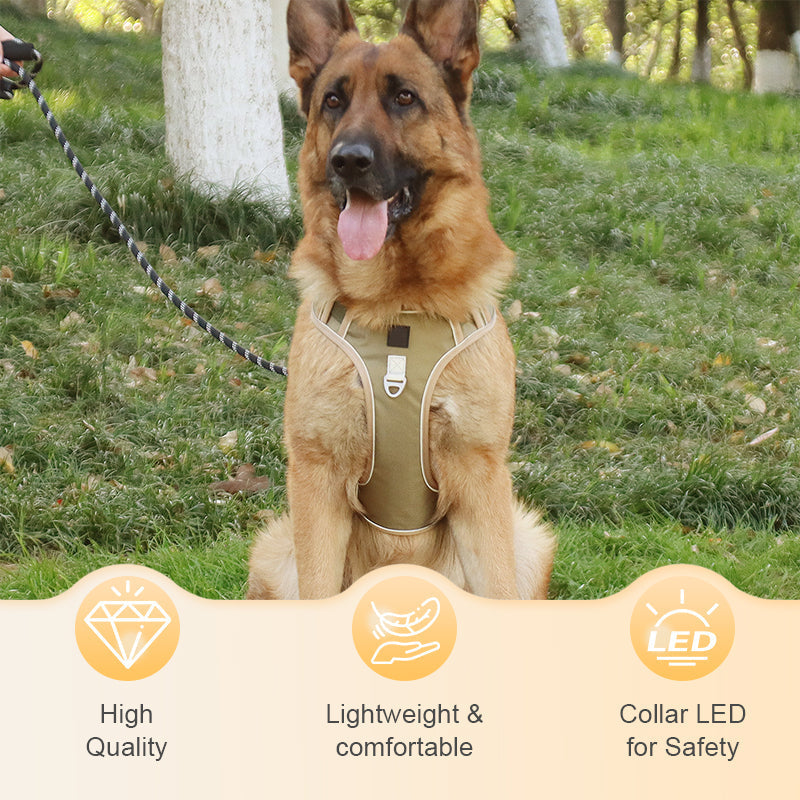 Dog Harness & Leash Set Anti-Pull Front-Clip Integrated LED