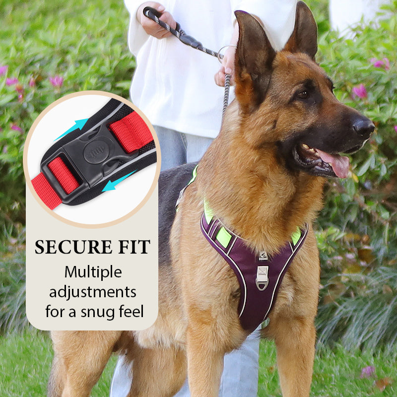 Dog Harness & Leash Set Anti-Pull Front-Clip Integrated LED