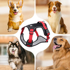 Dog Harness & Leash Set Anti-Pull Front-Clip Integrated LED