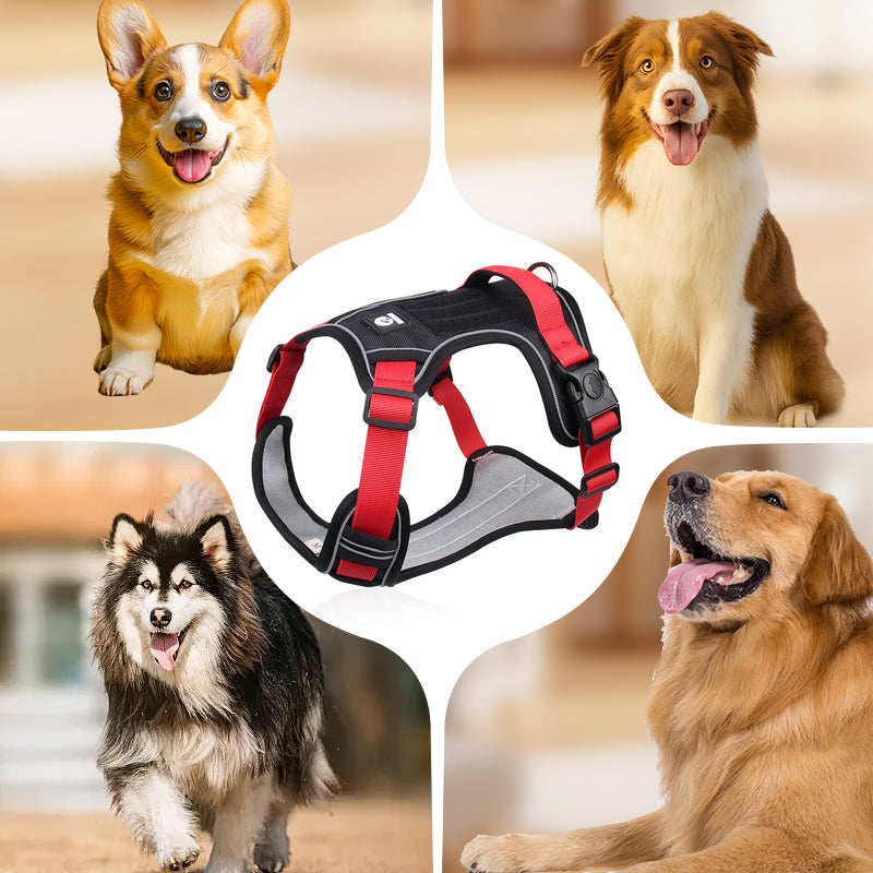 Dog Harness & Leash Set Anti-Pull Front-Clip Integrated LED